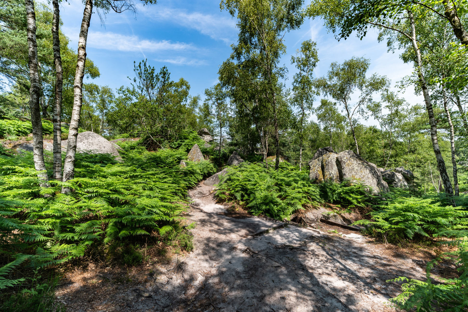 Fontainebleau